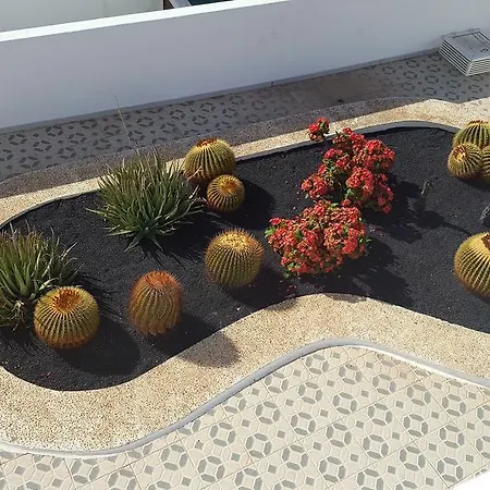 Apartment Panelo Cactus